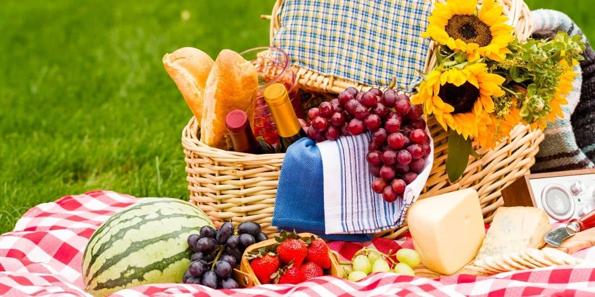 Birthday Picnic Ideas For Adults
