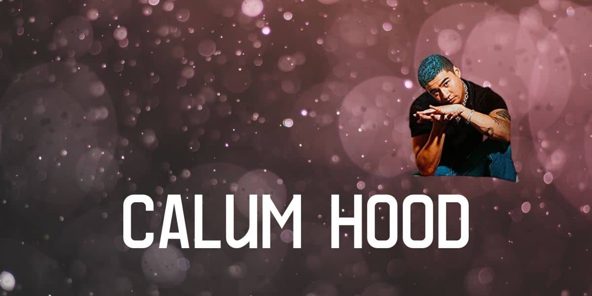 20 Best Calum Hood Gifts