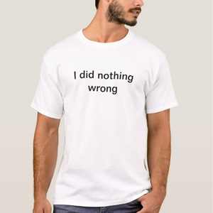 I did nothing wrong white lie party ideas